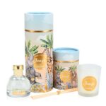 Favor box Scented Jungle Candle Favor box Scented Jungle Candle