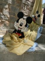 ”Elegant Mickey”