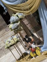 ”Elegant Mickey”