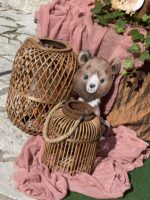 ”Wild sweet Animals”