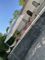 ”Wild sweet Animals”