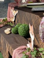 ”Wild sweet Animals”