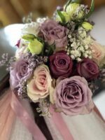 ”Wild sweet Animals”