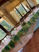 ”Twins cute Giraffe”