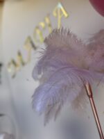 ”Romantic Feathers” ”Romantic Feathers”