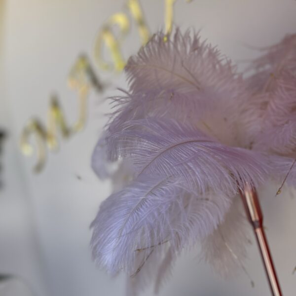 ”Romantic Feathers” ”Romantic Feathers”
