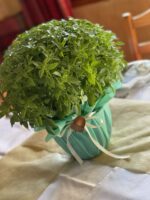 ”Forest wild life”