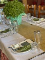 ”Forest wild life”