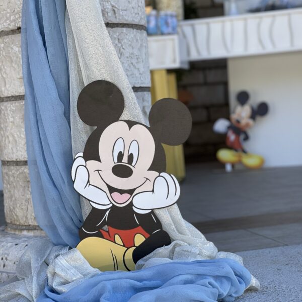 ”Silver Mickey” ”Silver Mickey”