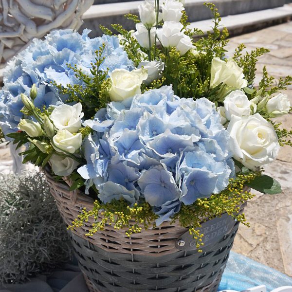 ΄΄ Little star” ΄΄ Little star”