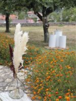 Boho Wedding in Mangenta