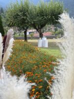 Boho Wedding in Mangenta