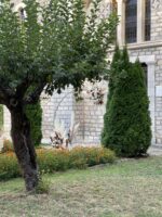 Boho Wedding in Mangenta